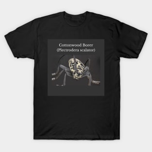 Cottonwood Borer (Plectrodera scalator) T-Shirt